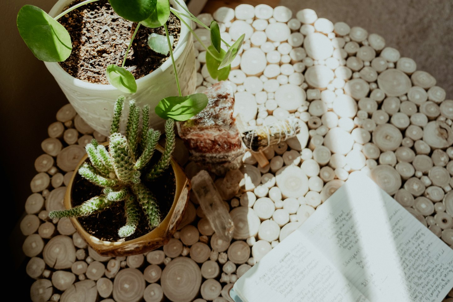 Wellness items and plants on a wooden table.